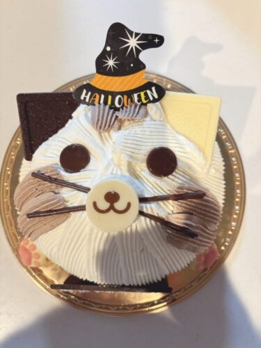 ㊗️🎉🎂 𓂃 𓈒𓏸◌