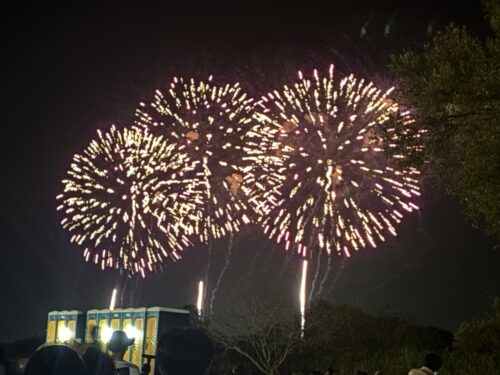 酒田花火🎆