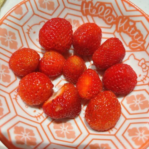 初♡収穫🍓